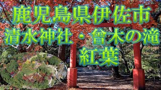 【ドローン撮影４K】鹿児島県伊佐市 清水神社・曾木の滝　紅葉