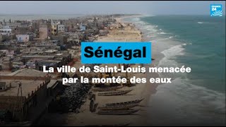 Sénégal : Saint-Louis confrontée à la montée des eaux • FRANCE 24