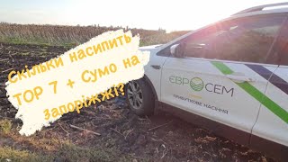 Скільки насипить ТОР 7+ Сумо на Запоріжжі?