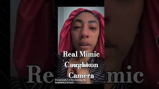 Real Mimic Caught on Camera😨