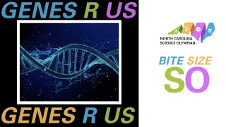 2022 Bite Size SO - Genes R Us