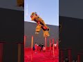 国粹 “醒狮”翩翩起舞之男儿当自强。 醒狮文化 liondance 国家级非物质文化遗产