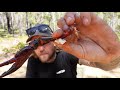 catch and cook chilli black crabs marron crayfish crawfish crawdad