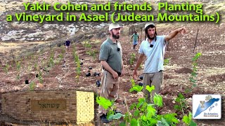 Yakir Cohen and friends  Planting a Vineyard in Asael (The Judean Mountains)