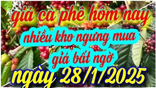 giá cà phê hôm nay ngày 28/1/2025