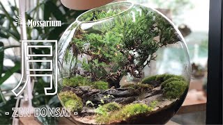 Mossarium Terrarium Care Day