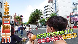 【高知県観光＆グルメ】土佐の日曜市で食べ歩き♪いも天がうまいんじゃ！！【日本最大級の街路市】