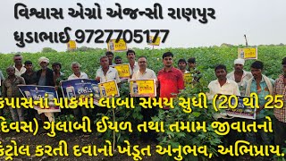 કપાસનાં પાકમાં લાંબો સમય  (20 થી 25 દિવસ) ગુલાબી ઈયળ તથા તમામ જીવાતનો કંટ્રોલ કરતી દવાનો ખેડૂત અનુભવ