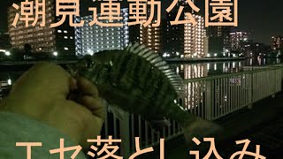 潮見運動公園で黒鯛エセ落とし込み釣り！【スピニングタックル】