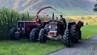 Massey Ferguson 165 /285 4WD