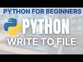 Writing to Text File in Python | Python for Beginners #shorts