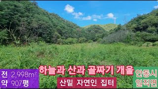 산밑 자연인 집터(287) 전 2,998m² (약 907평) 평당 6만원 밭에 풀이나 있음 (올해 휴경지임) 경북 안동시 일직면 원호리 산밑땅 010-4949-0049 안동역부동산