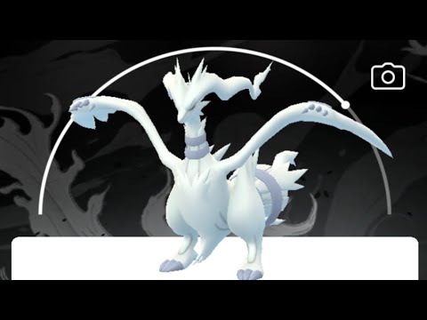 Reshiram Raid Hour Youtube
