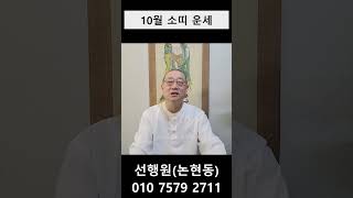 10월 소띠 월운 #내일의운세 #오늘의운세 #10월