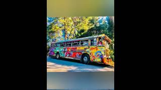 #bus #modified #pitakaware   #mayakari #yasmitha_bus_official #shorts