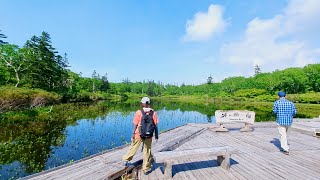 ニセコ 神仙沼　フラワートレッキングツアー　ロングバージョン　2024年6月14日