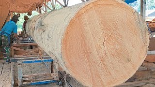 Senilai puluhan juta!! kayu keras Super dari hutan pedalaman Kalimantan