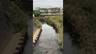 【４K映像】赤関橋の朝　Morning at Akaseki Bridge