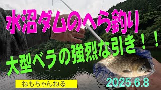 茨城県水沼ダムでの巨べら釣り