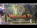 Exotic World | Kho Animals Enterprise | Jerelyn Chai