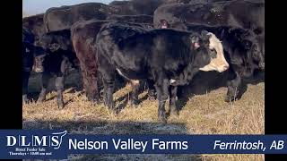 DLMS Direct - Nelson Valley Farms