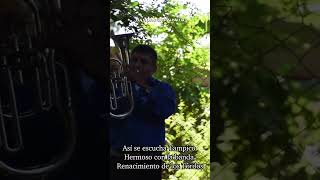 Tampico Hermoso por La Banda Renacimiento de los Tordos de Otates , Huejutla Hidalgo