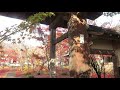 【信州ひとり旅】飯山市の紅葉の名所　称念寺