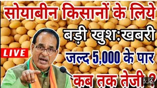 सोयाबीन के लिए अगले 10 दिन सबसे महत्वपूर्ण soybean riport।Soyabean Commodities Price#soybeanfuture