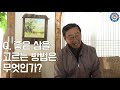 산삼왕 함양 김경회씨에게 듣는 산양삼의 진짜 효능은