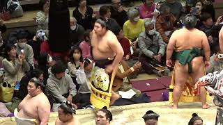 幕内 土俵入り【大相撲トーナメント】2024/2/11 [Grand Sumo Tournament]