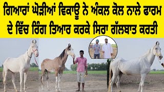 ਗਿਆਰਾਂ ਘੋੜੀਆਂ ਵਿਕਾਊ ਨੇ ਅੰਕਲ ਕੋਲ ਨਾਲੇ ਫਾਰਮ ਦੇ ਵਿੱਚ ਰਿੰਗ ਤਿਆਰ ਕਰਕੇ ਸਿਰਾ ਗੱਲਬਾਤ ਕਰਤੀ
