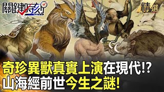 精選特輯│先秦傳說「奇珍異獸」真實上演在現代！？山海經前世今生之謎！【關鍵時刻】-劉寶傑 馬西屏 劉燦榮 朱學恒 傅鶴齡 黃創夏