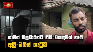 තාමත් බලධාරීන්ට නිසි විසඳුමක් නැති අලි-මිනිස් ගැටුම