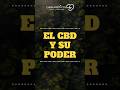 Descubre el poder curativo del CBD!