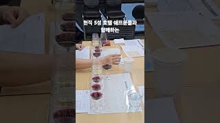 국호전 와인 강의 클라스 #누구나체험학습가능