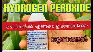 Hydrogen Peroxide for Plants |ഹൈഡ്രജൻ പെറോക്സൈഡ് ചെടികൾക്ക് ഇങ്ങനെ ഉപയോഗിച്ചു നോക്കൂ