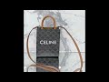 Celine Mini Vertical Cabas In Triomphe Canvas -B-CEL-CAB-BR