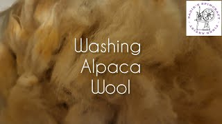 Washing Alpaca Wool