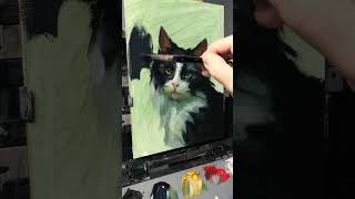 Cat portrait oil painting #oilpainting #art #painting #oilart #petportrait