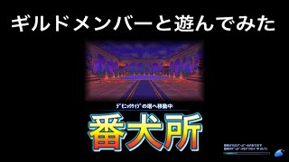 【エレナイR】ギルドメンバーとドラゴンタワー攻略【はまゆう】