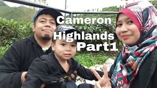 Cameron Highlands/ Part 1 / Round semua tanahrata ikut tapah