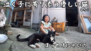 泣く子に寄り添う優しい母猫【ほっとけにゃいの】