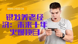 银发养老经济：未来十年火爆项目，月入2W的赚钱秘籍【揭秘】银发经济风口，如何通过老年产业获得稳定收入