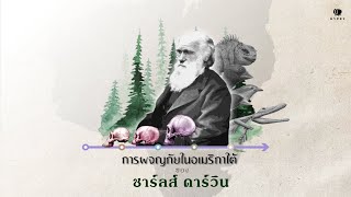 การผจญภัยในอเมริกาใต้ของ ชาร์ลส์ ดาร์วิน