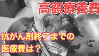 高額療養費　癌になって好きになった言葉   34話　抗がん剤終了までの医療費出ました　ルルママ虫垂癌になったってよ