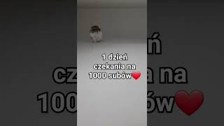 dobijemy 1000? ❤