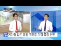 쏙쏙 추석 코앞인데 배춧값 여전히 기세등등 ytn yes top news