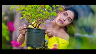 Tum Kya Mile Jaane Jaan whatsapp status | Saatwan Aasman | New Romantic Status Video | Cool Aayush