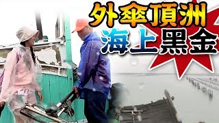 【 ★外傘頂洲的海上黑金★】前進海上秘密基地尋寶囉!體驗耙野生文蛤