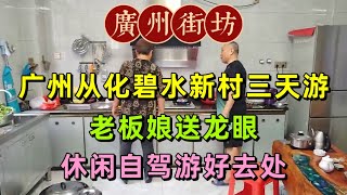 廣州從化碧水新村三天游，老闆娘送龍眼，休閒自駕游好去處